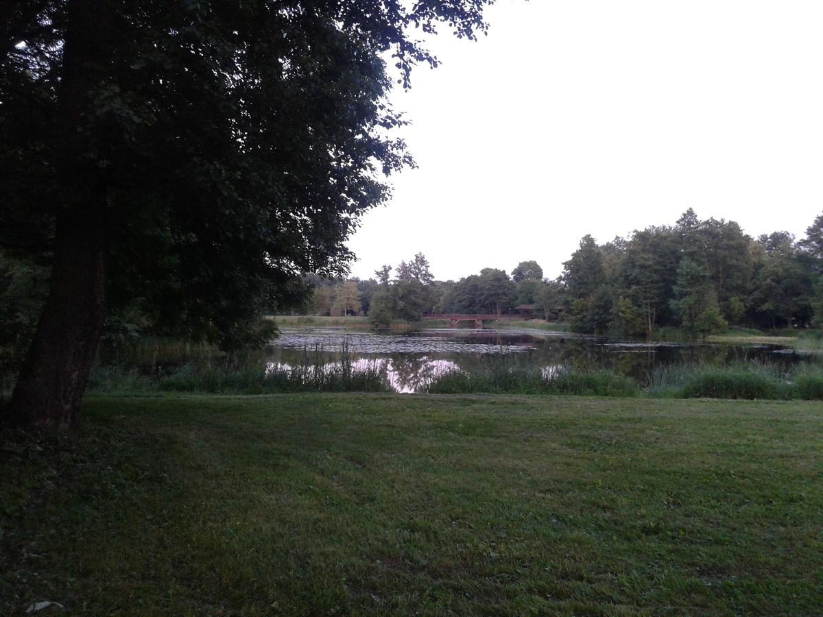 Białowieża Cztery Pory Roku 게스트하우스 외부 사진