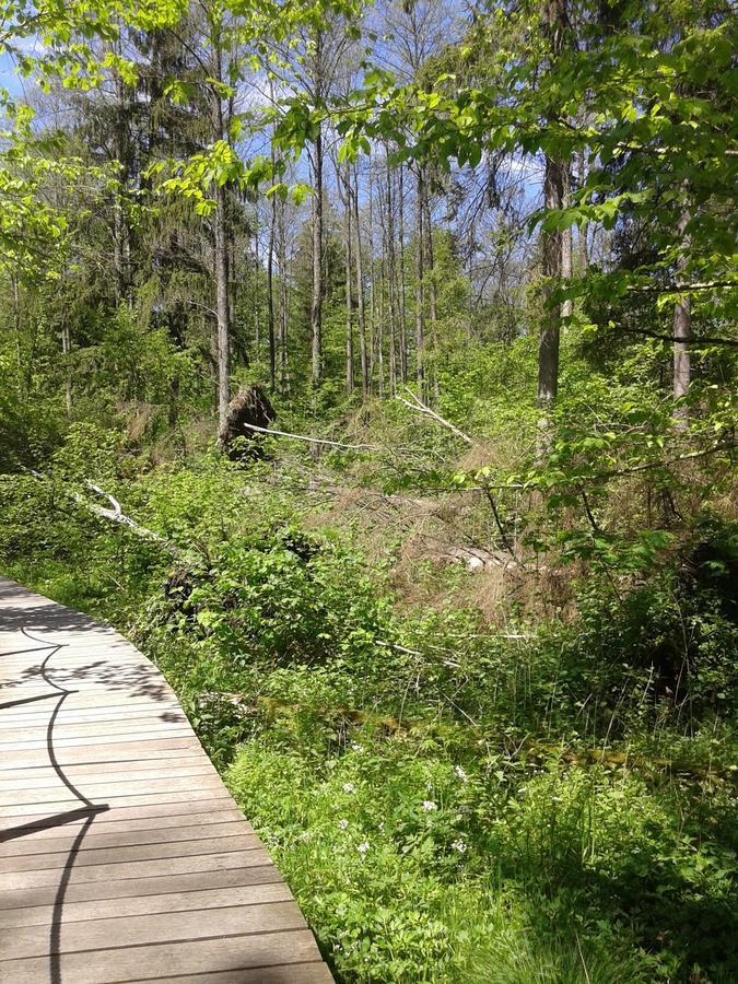 Białowieża Cztery Pory Roku 게스트하우스 외부 사진