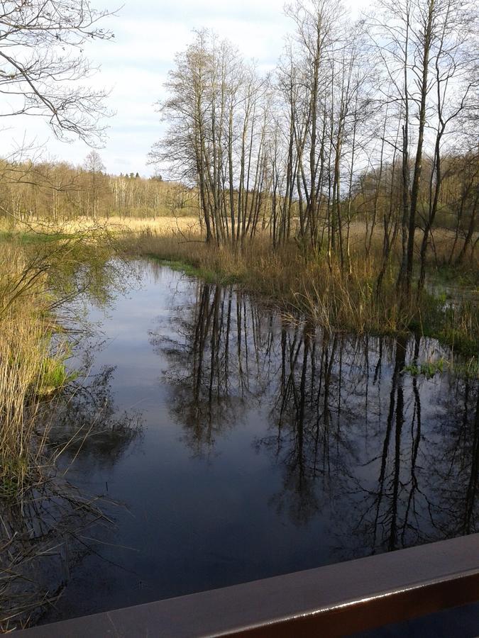 Białowieża Cztery Pory Roku 게스트하우스 외부 사진