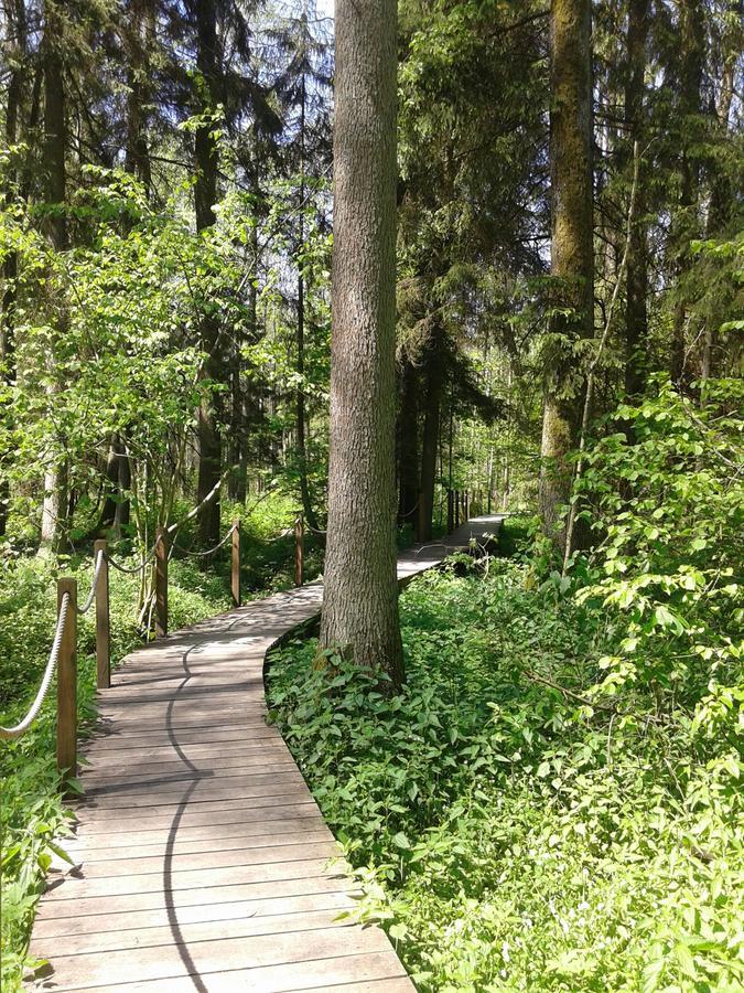 Białowieża Cztery Pory Roku 게스트하우스 외부 사진