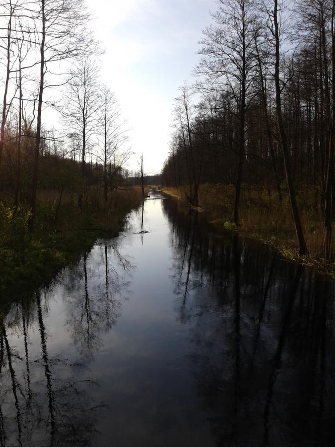 Białowieża Cztery Pory Roku 게스트하우스 외부 사진
